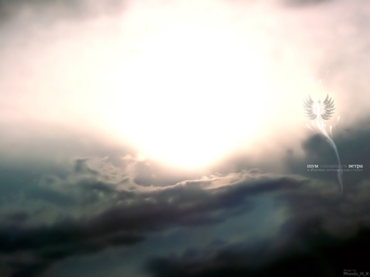 392672 (a): :1024x768